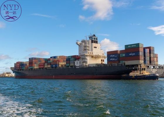 Cargo FCL Sea Shipment Container DDP International Logistics Service