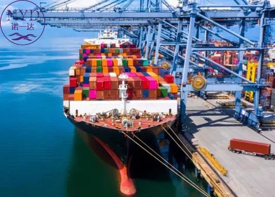 Logistics Freight Forwarding Door To Door International Courier Service SGS