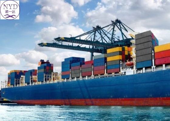 Sea Freight International Freight Forwarder With Documentation Reverse Logistics Available